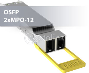 QSFP DD800 2xMPO 12